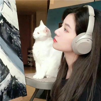 小锅盖离婚 海报